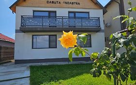 Casuta Noastra - Sulina